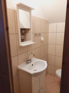 a bathroom with a sink and a mirror and a toilet at Olimp pokoje i apartamenty in Szczyrk