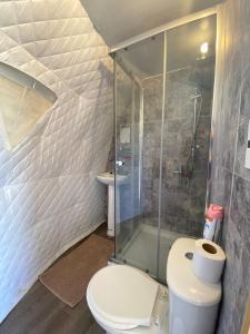 a bathroom with a toilet and a shower at Milenaria Glamping in Panguipulli