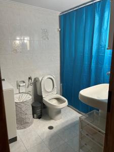 a bathroom with a toilet and a blue shower curtain at Ambracian Gulf Comfort House in Menídion
