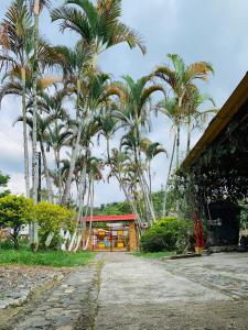 a group of palm trees in front of a building at Finca turística VILLA OFELIA in Quimbaya