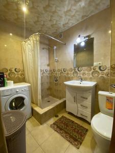 een badkamer met een wastafel en een douche bij Renovated One Bedroom in the Touristic Center of Yerevan in Jerevan