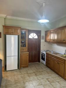 a kitchen with wooden cabinets and a white refrigerator at Ambracian Gulf Comfort House in Menídion