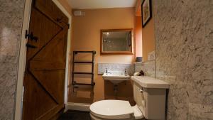 a bathroom with a toilet and a sink at Mwsogl - Luxurious Family Fishing Lodge Near Aberaeron With Private Fishing in Cross Inn +14 photos