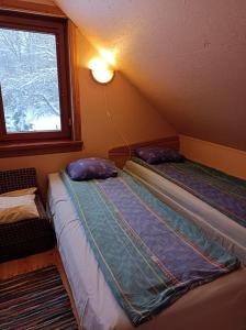 two beds in a room with a window at Mežvītoli in Mercendarbe