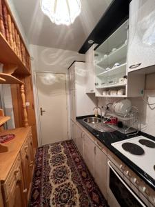 a small kitchen with a sink and a stove at Two luxury bedroom apartment D&V in Berovo