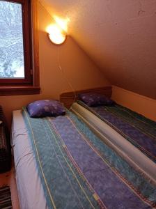 two twin beds in a room with a window at Mežvītoli in Mercendarbe