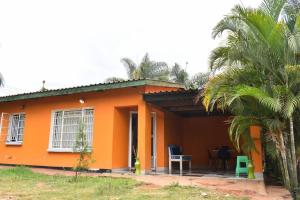 里郎威的住宿－House of Joy，一座种植了棕榈树的橙色小房子
