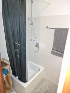a bathroom with a shower curtain and a bath tub at Apartment 1 in Stuttgart
