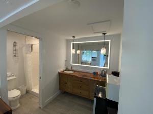 a bathroom with a sink and a toilet and a mirror at Alexander Palms Court - No Hidden Resort Fees! in Key West