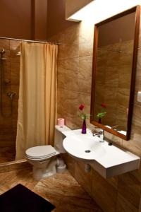 Un baño con lavabo, inodoro y espejo. en Hotel Restauracja Pustelnik, en Wisła Mała