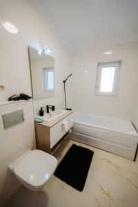 een badkamer met een wastafel, een toilet en een spiegel bij Modern Studio in Ipoteşti