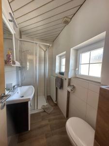 uma casa de banho com um lavatório, um chuveiro e um WC. em Frühstückspension Alpenrose Bed & Breakfast em Iselsberg