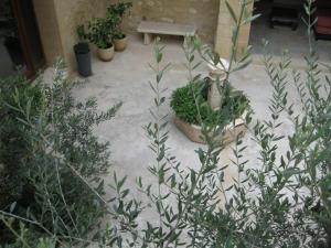 un gruppo di piante in vaso e una panchina in un cortile di Jim cosy & spa a Saint-Hilaire-dʼOzilhan