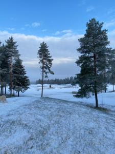 Afbeelding uit fotogalerij van Studio Nordcenter in Raasepori
