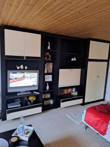 een woonkamer met zwarte muren en een flatscreen-tv bij Ferien- und Business Wohnung in Mönsheim