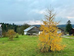 un árbol en un campo al lado de una casa en Pastelle, en Saint-Sulpice