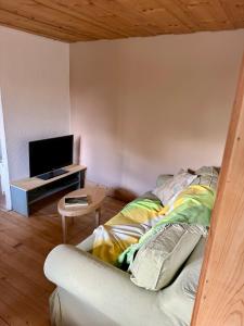 a living room with a bed and a flat screen tv at Pastelle in Saint-Sulpice