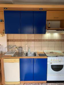 una cocina con armarios azules y fregadero en Garden Oasis Apartment en Veles