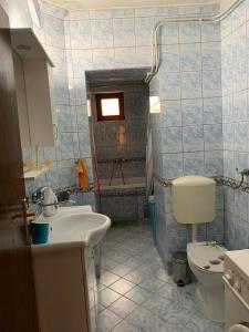 ein Bad mit einem Waschbecken und einem WC in der Unterkunft Garden Oasis Apartment in Veles