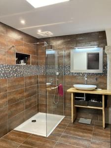 a bathroom with a glass shower and a sink at Ancien domaine de Chartreux avec jacuzzi in Tullins