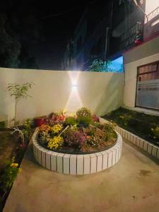 a flower garden in a planter in front of a building at Hotel Bed & Rest Airport in Karachi