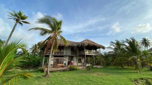uma casa com telhado de palha e palmeiras em Playa Cangrejo em Moñitos