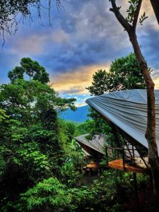 a building with a roof in the middle of trees at Jungle Gayborhood - LGBTQ Boutique Hotel and Retreat in San Luis