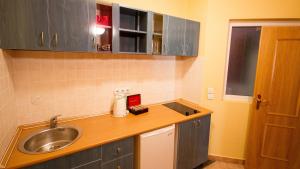 a small kitchen with a sink and a counter at Apart hotel Samardzic in Tivat