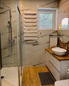 a bathroom with a shower and a sink at Chatka Niedźwiadka in Uście Gorlickie