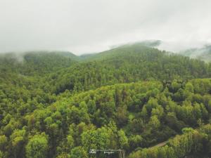 Príroda v okolí dovolenkového domu