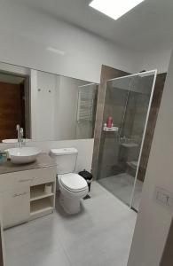 ein Bad mit einem WC, einem Waschbecken und einer Dusche in der Unterkunft Los Álamos Vistalba in Ciudad Lujan de Cuyo
