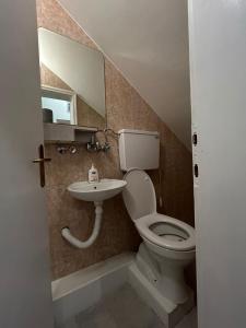 un baño con inodoro y lavabo en Apartman Butterfly, en Belgrado