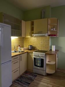 Kuchyň nebo kuchyňský kout v ubytování Studio Apartment Old Town