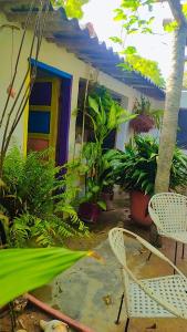 a patio with chairs and plants in front of a house at Casa de playa en Dibulla in Dibulla