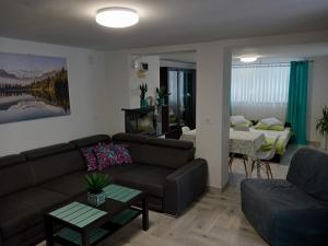 Maniowy的住宿－Apartament，客厅配有沙发和桌子