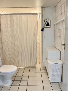 y baño con cortina de ducha y aseo. en Udsigten, en Rudkøbing