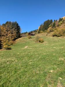 ein Grasfeld mit einem Haus auf einem Hügel in der Unterkunft Chalet Plein Soleil - 100% Nature & authenticité in Vers L'Eglise