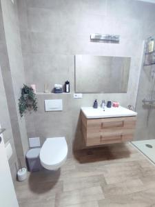 bagno con servizi igienici, lavandino e specchio di Central Residence a Baia Mare