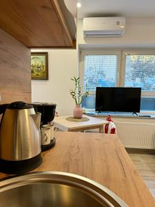 a kitchen with a table with a pot on a counter at The Industrial Loft in Ljubljana