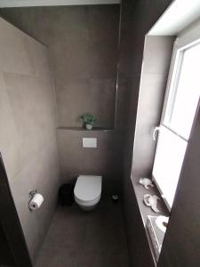 Koupelna v ubytování Ferienhaus Devilina mit Sauna am Harkebrügger See