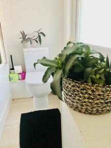 a bathroom with a toilet and a plant on a counter at 20 min to central London- 2 bedrooms apartment in London