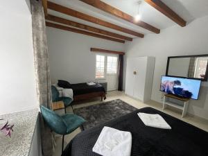uma sala de estar com uma cama e uma televisão em Boga Alpine Resort em Bogë