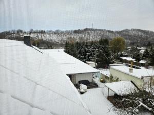 Apartments am Saalebogen mit Gartenterrasse, Grillkamin und freie Parkplätze v zimě