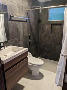 a bathroom with a toilet and a sink and a shower at Dpto. a unos pasos de la playa en Las Brisas in Manzanillo