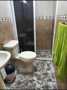 y baño con aseo y ducha. en La Preciosa Casa Andaluza en Mérida