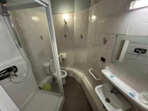 un bagno con doccia, WC e lavandino di Le Terminus d'Albi ad Albi