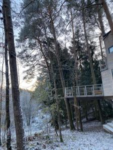 una casa del árbol en el bosque con nieve en el suelo en Domek na drzewie Kryjówka en Kaczory
