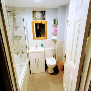 a bathroom with a toilet and a sink and a shower at Private Entire House - 3 Bedrooms Garden Parking in Rottingdean