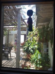 une chambre avec une bande de plantes dans un bâtiment dans l'établissement Casa de playa en Dibulla, à Dibulla
