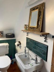 a bathroom with a toilet and a sink and a mirror at Rhedyn - Cosy Fishing Lodge Near Aberaeron in Cross Inn